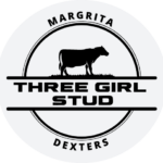 Three Girl Stud Dexter Cattle For Sale Cromwell Farms